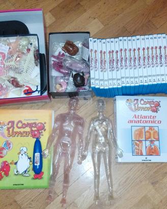 Esplorando il corpo umano: Libri DVD Gioco Modelli