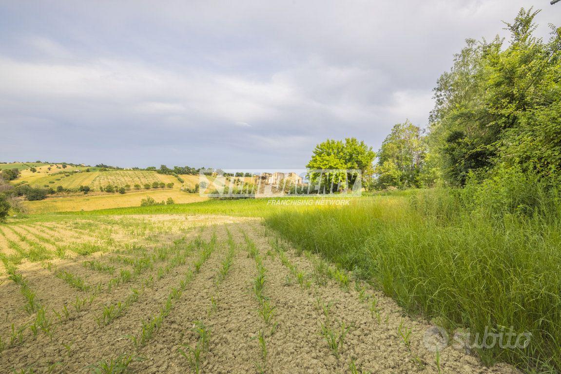 Terreno agricolo di 36.600 mq a Morrovalle! - Vista 5