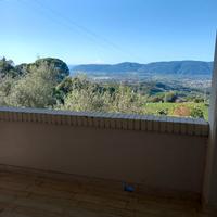 Lavoro informatica e programmazzione