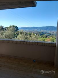 Lavoro informatica e programmazzione