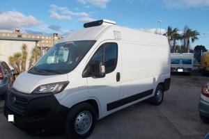 iveco fiat ducato 2021 furgone frigo e.6 -20