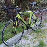 Bici da corsa " Cannondal "