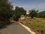 Immagine 10