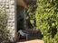 Immagine 19