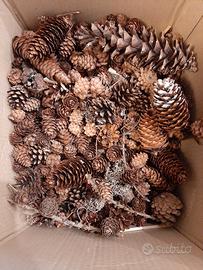 Stock 200 Pigne Piccole Decorative