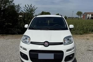 FIAT PANDA METANO 2019