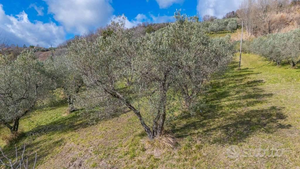 Terreno di 5630 m² a Montenero Sabino - Vista 6