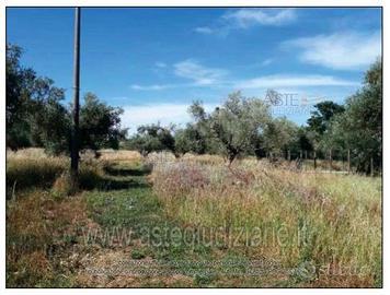 Terreno Agricolo Nepi [A4340397]