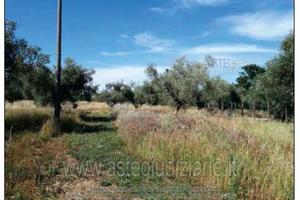 Terreno Agricolo Nepi [A4340397]