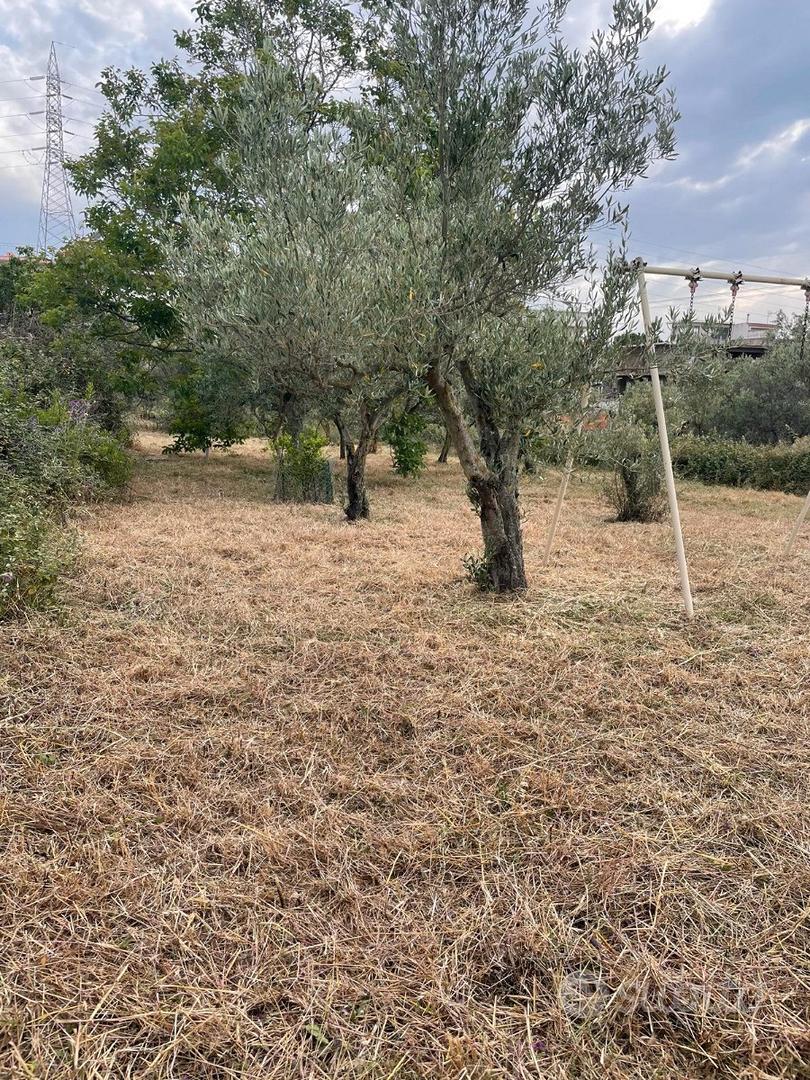 Terreno agricolo .CATTAFI - Vista 3