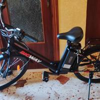 Bici elettrica 250w