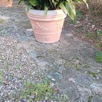 Vasi da giardino in resina con aspidistre