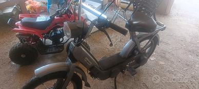 splendido piaggio Ciao