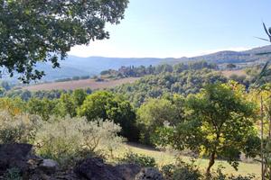 Singola a Todi