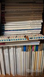 Rivista domus