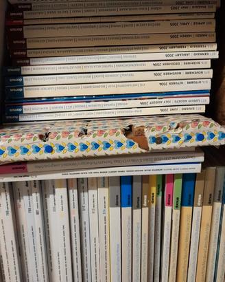 Rivista domus
