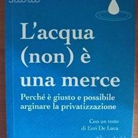 L'acqua (non) è una merce. Perché è giusto e possi