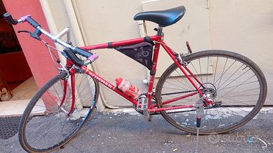 Bici da corsa perfetta 