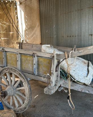Antico carro agricolo buoi