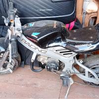 Minimoto Honda LEGGERE annuncio