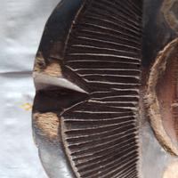 maschera etnica vintage