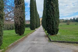 Contratto transitorio bilocale Castello Torregalli