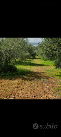 Terreno Terrasini