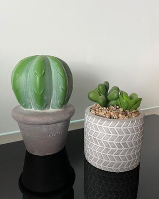 Set 2 soprammobili decorativi piante grasse
