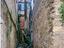 Immagine 13