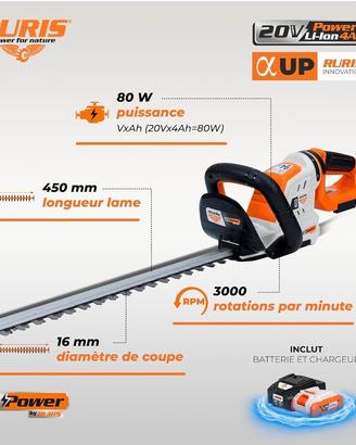 tagliasiepi elettrico a batteria 