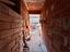 Immagine 12