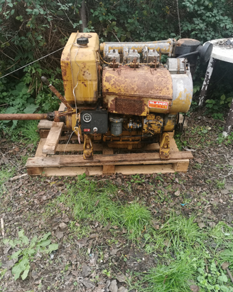Motore 60cv Slanzi DVA 2700cc con pompa caprari