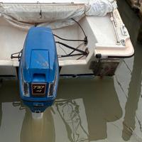 2 motori EVINRUDE 737