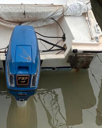 2 motori EVINRUDE 737