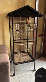 Voliera per pappagalli