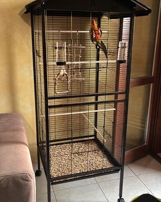 Voliera per pappagalli