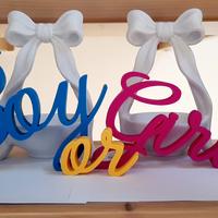 Baby shower BOY OR GIRL + 2 mini porta confetti