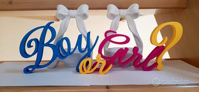 Baby shower BOY OR GIRL + 2 mini porta confetti