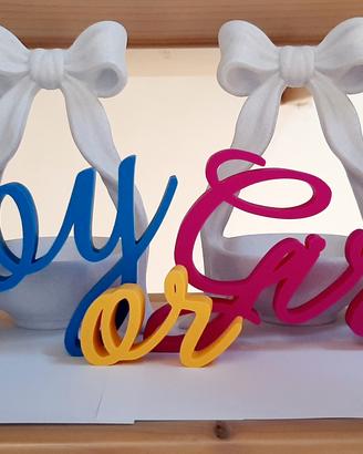 Baby shower BOY OR GIRL + 2 mini porta confetti