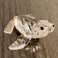 Foca Swarovski originale