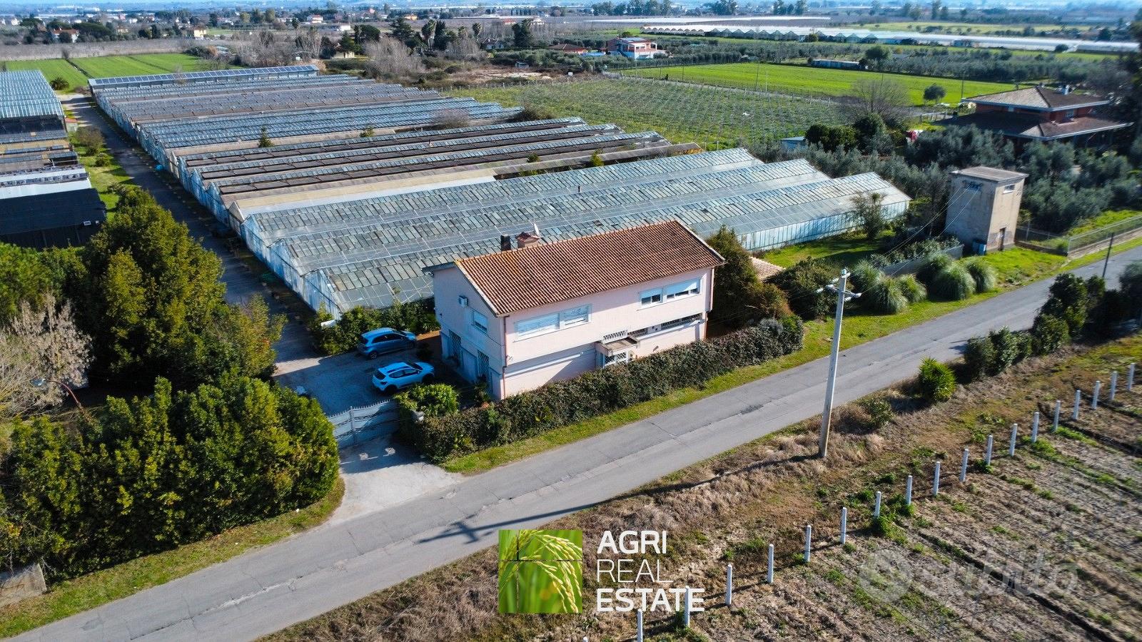 Azienda florovivaistica con casa ideale per eventi - Vista 4