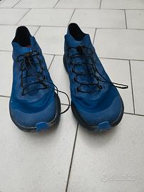Salomon Pulsar Trail Pro