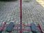 Immagine 3