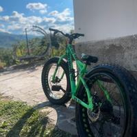 fat tire bike mountain bike