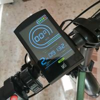 bicicletta elettrica 