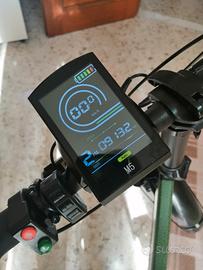 bicicletta elettrica 