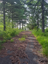 Terreno condonato per villetta in pre parco