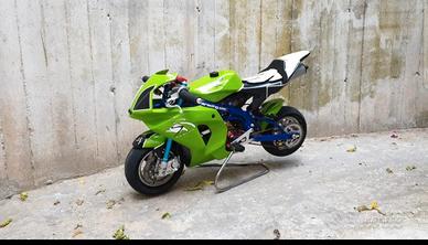 Minimoto stamas racing 50cc