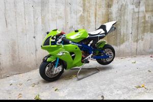 Minimoto stamas racing 50cc