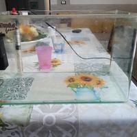 Acquario/tartarughiera